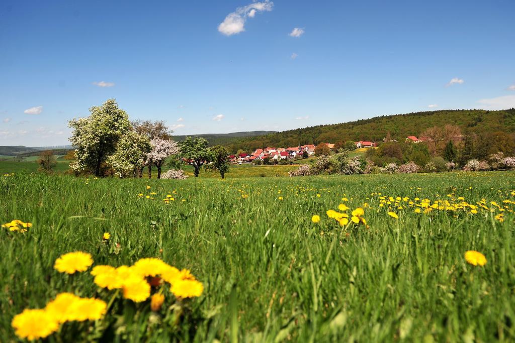 Landhotel Zur Gruenen Kutte Bernshausen Экстерьер фото