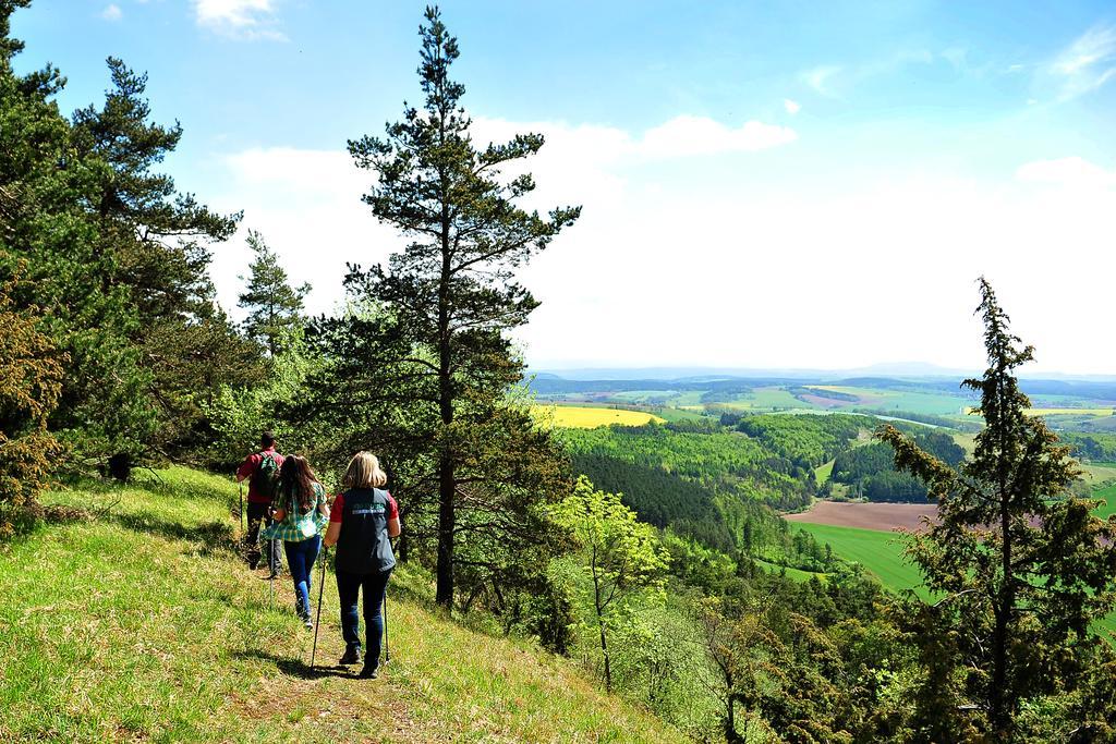 Landhotel Zur Gruenen Kutte Bernshausen Экстерьер фото