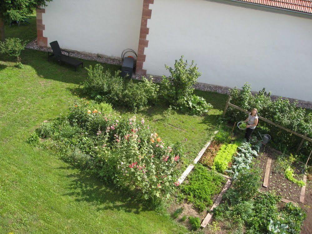 Landhotel Zur Gruenen Kutte Bernshausen Экстерьер фото